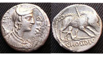 C Hosidius Cf Geta.jpg