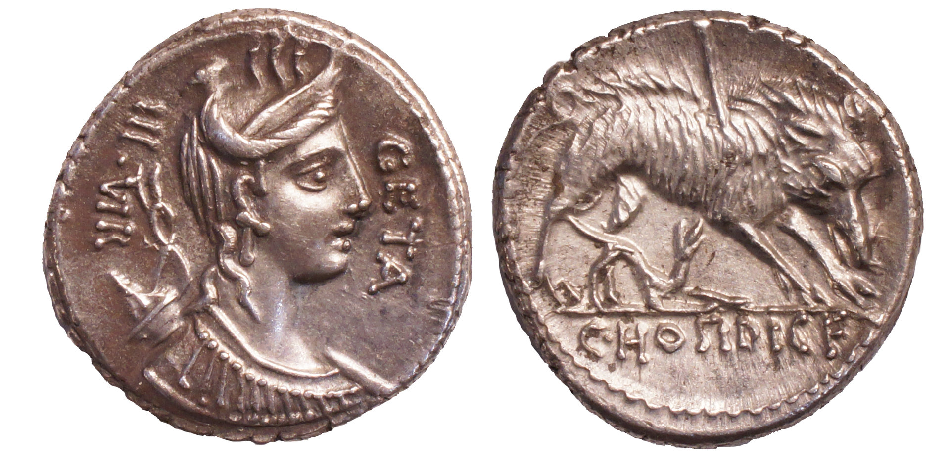 C Hosidius Geta 407-2 Heritage 2015 PS.jpg