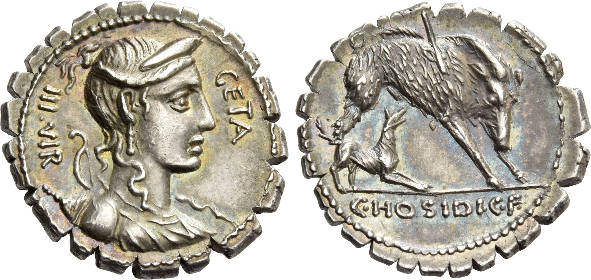 C Hosidius Geta 407-2 Hybrid NAC 2018.jpg