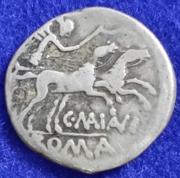 C. Maianius 2.jpg