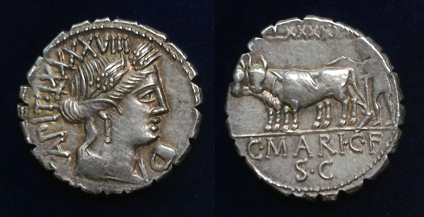 C Marius Capito denarius.jpg