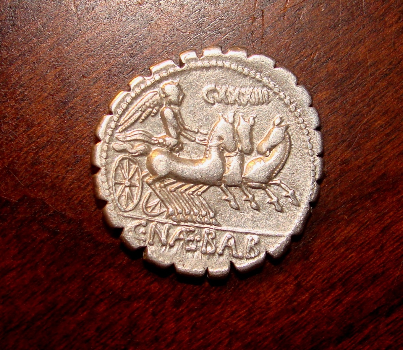 C NAEVIUS BALBUS REV.JPG