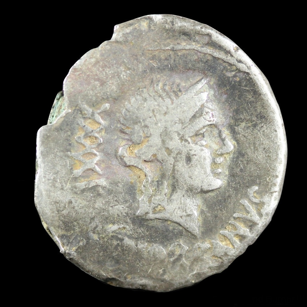 c norbanus 20170027 0bv.jpg