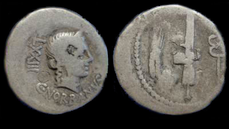 C NORBANUS.jpg