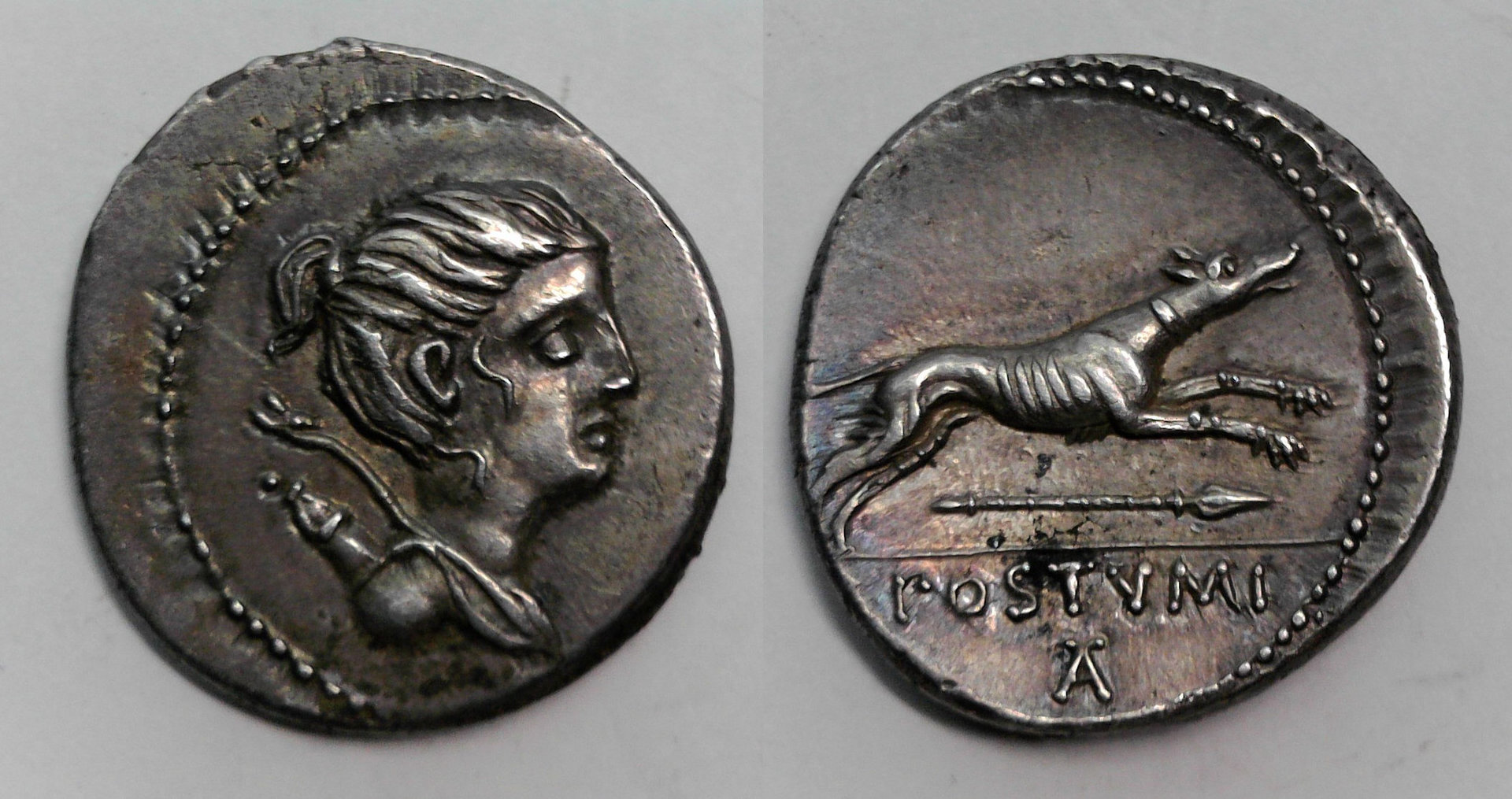 C Postumius Denarius.jpg