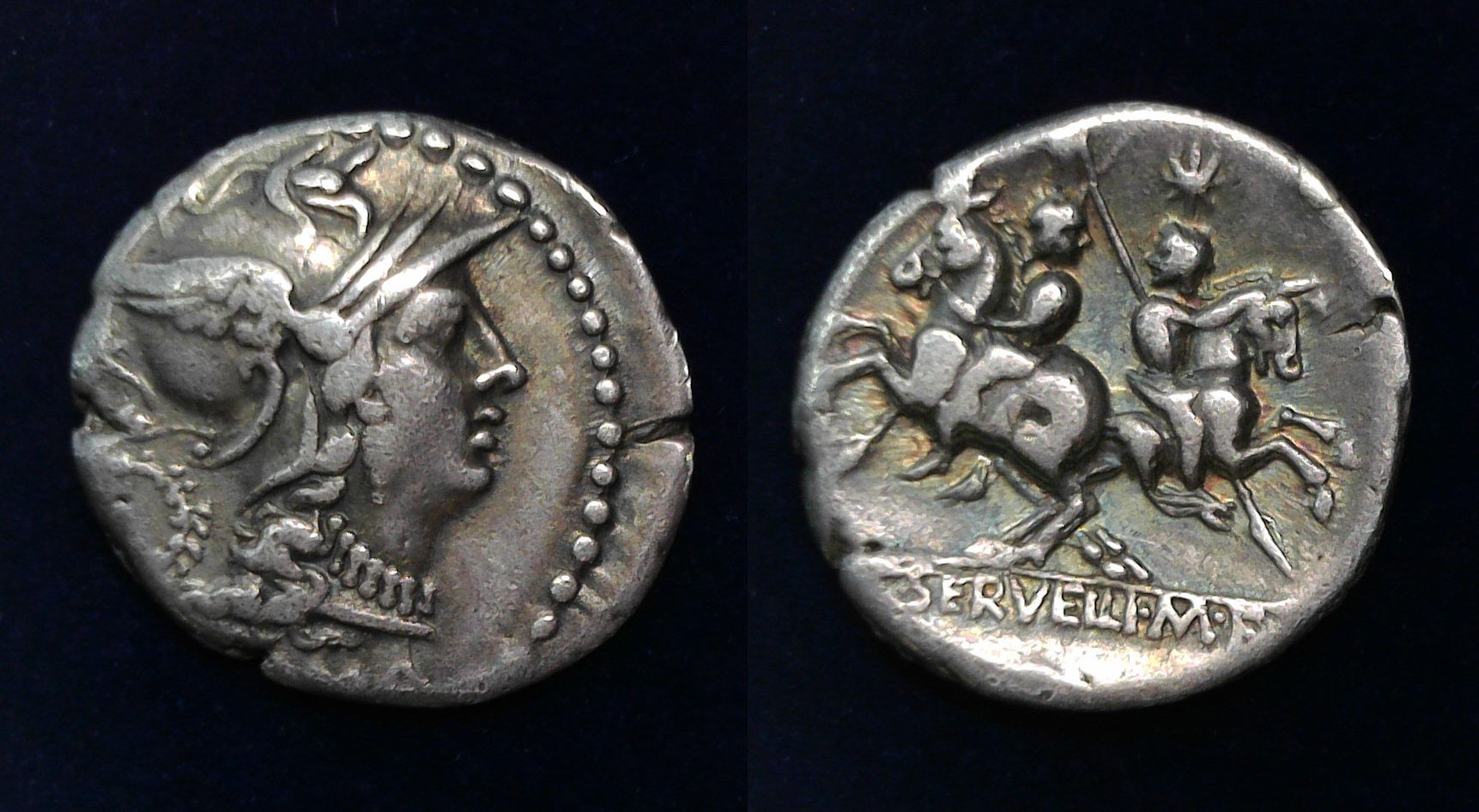 C Servilius Dioscuri.jpg