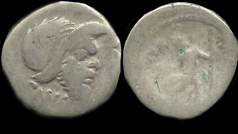 C VIBIUS CF CN PANSA CAETRONIANUS.jpg