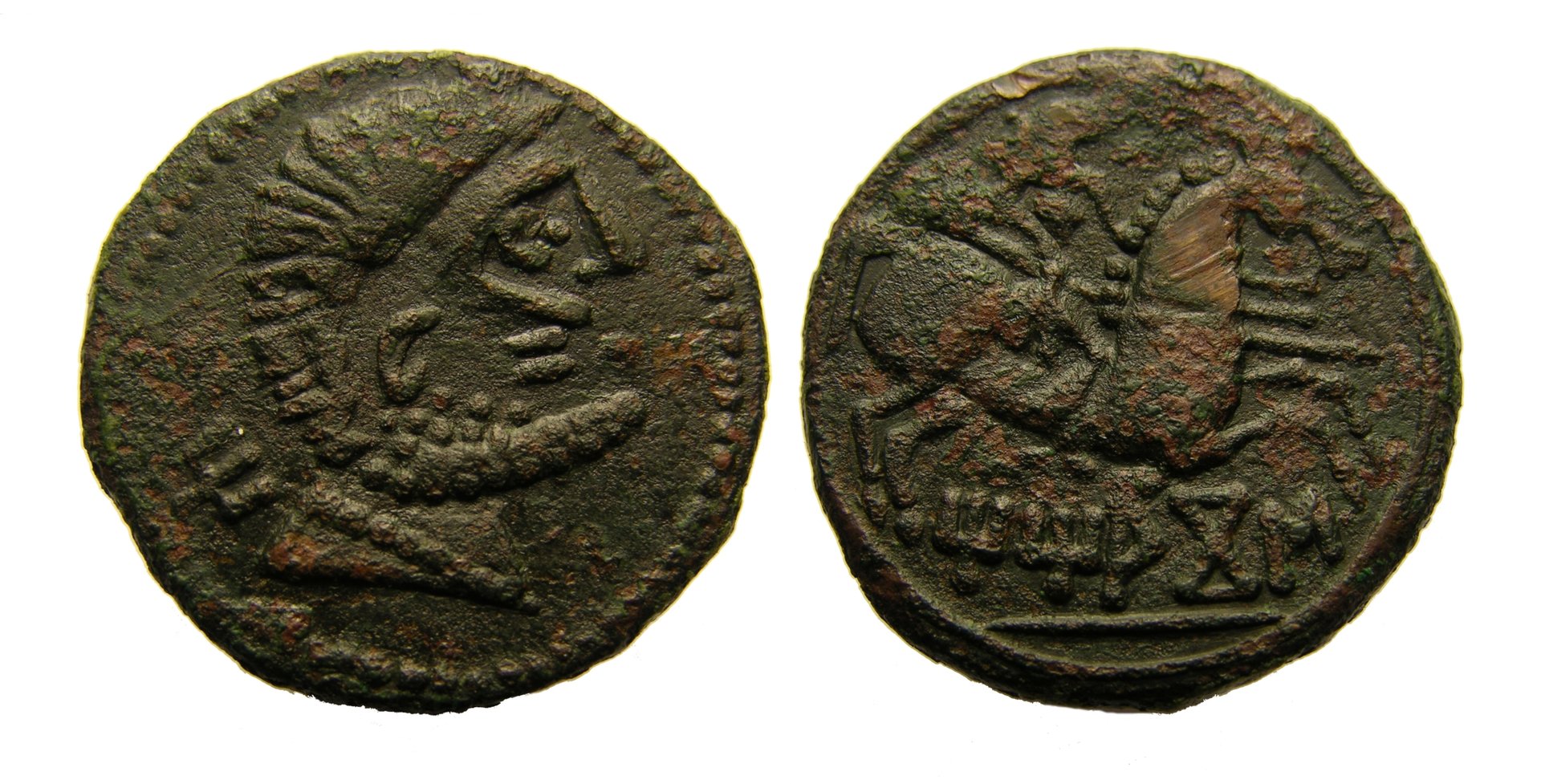c004.jpg