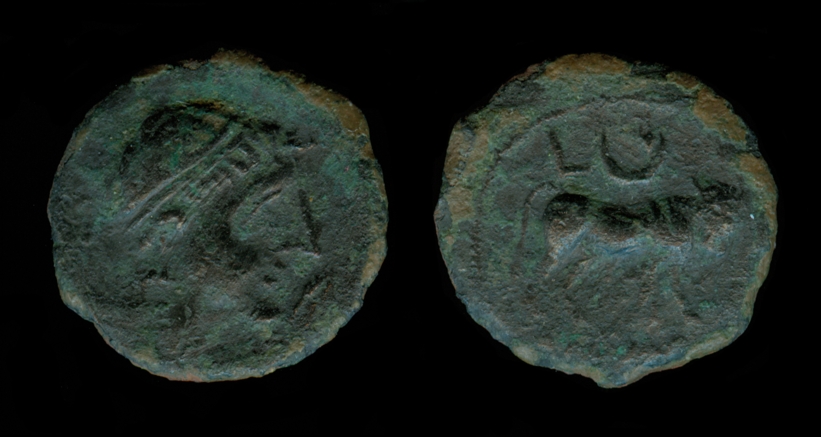 c006.jpg