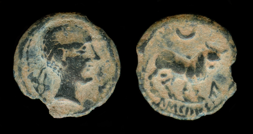 c007.jpg