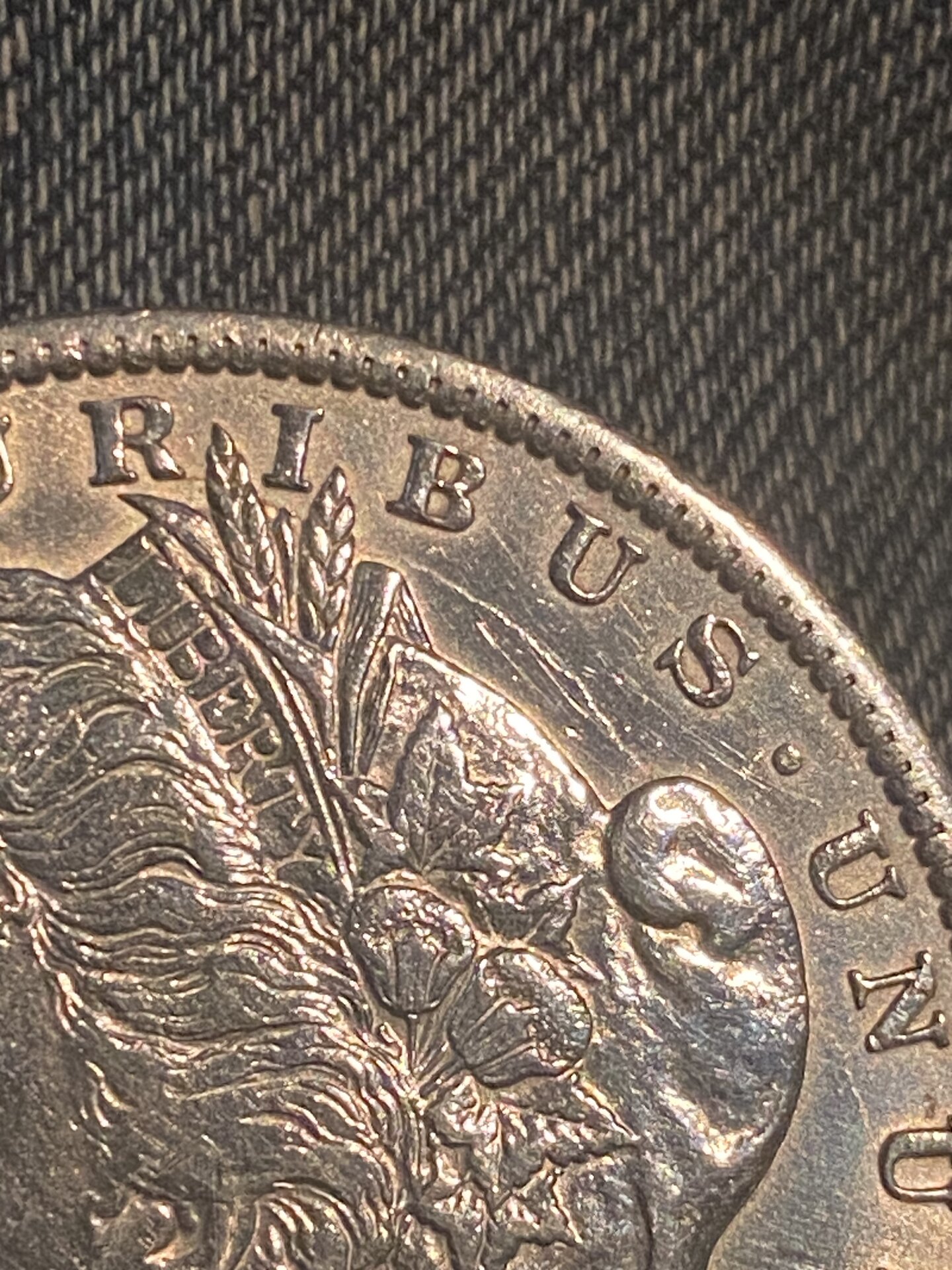 C0318137-E6D9-4CAF-A328-336F96FF309C.jpeg