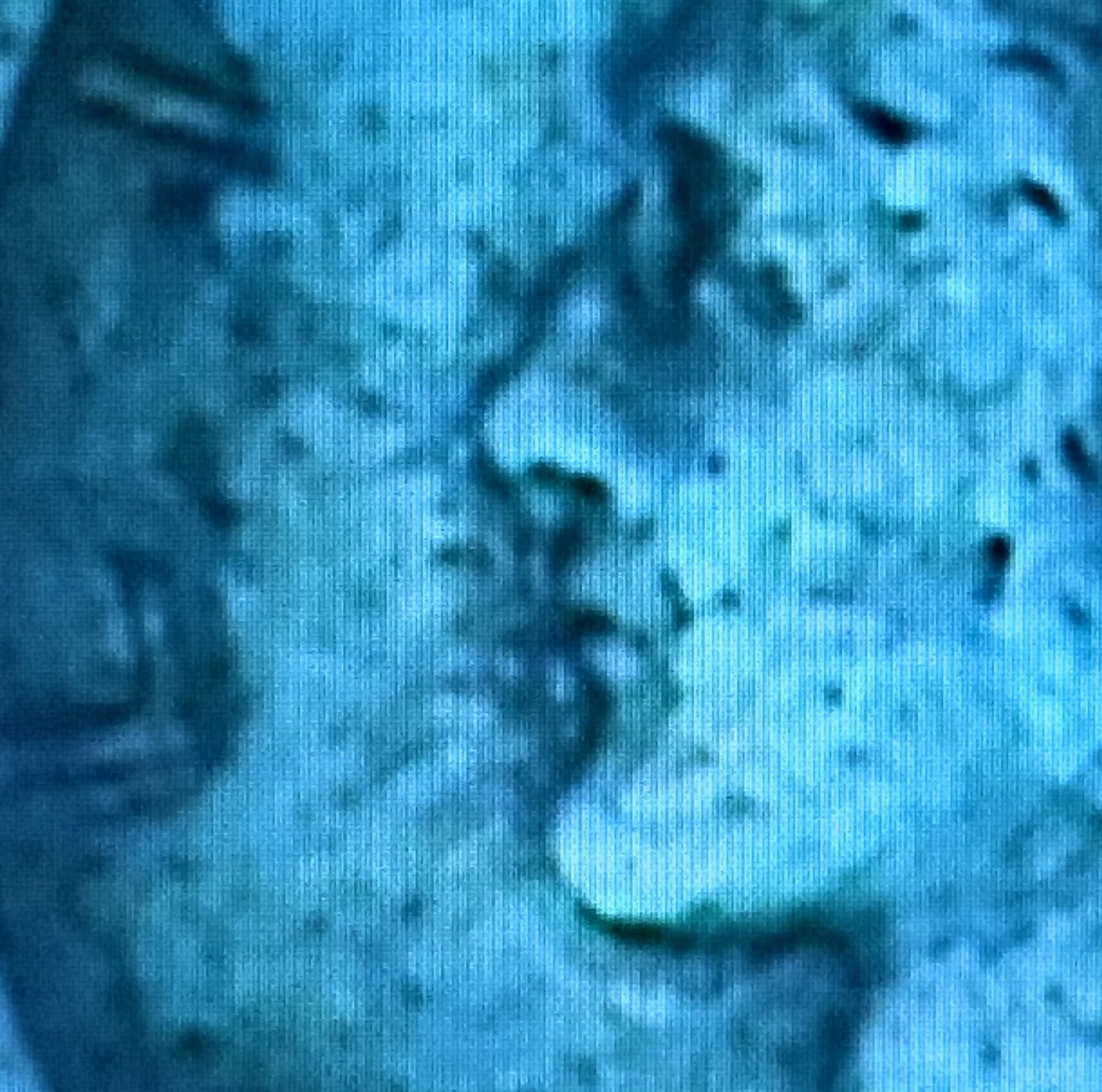 C08BCB3A-F9AE-4E6A-AD23-6139A9147C5C.jpeg