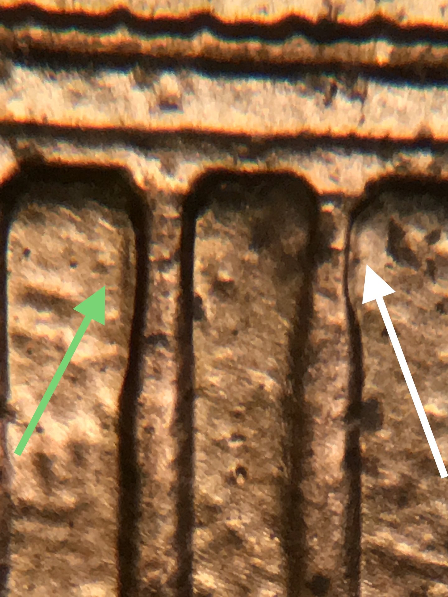 C096832B-6411-40E4-9EA9-E5BA417090F5.jpeg