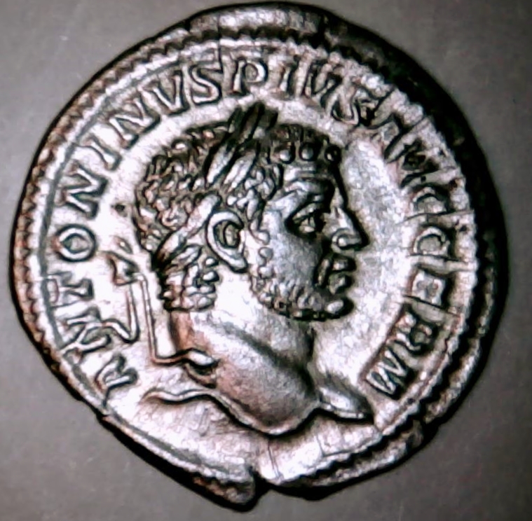 c1 (2).jpg
