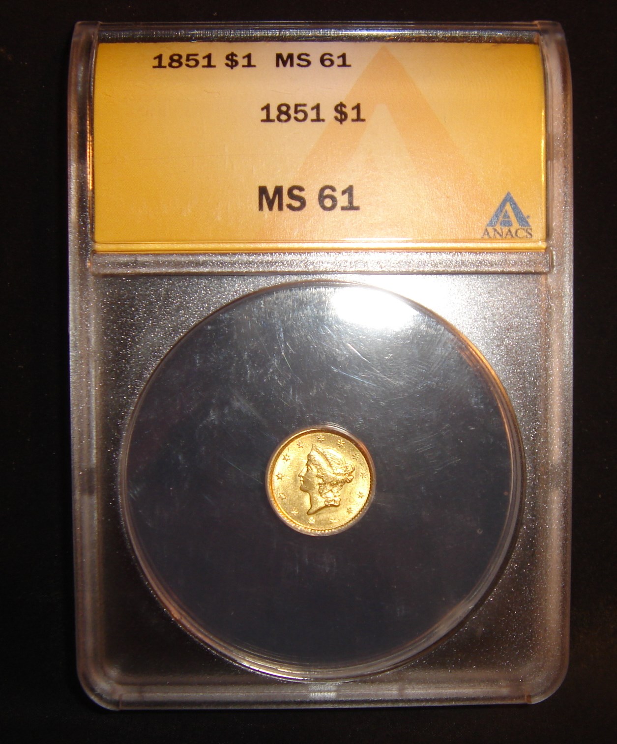 c1.jpg