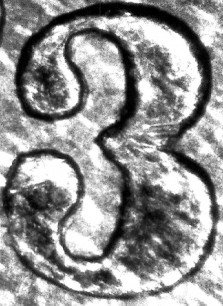 C2-223x306.jpg