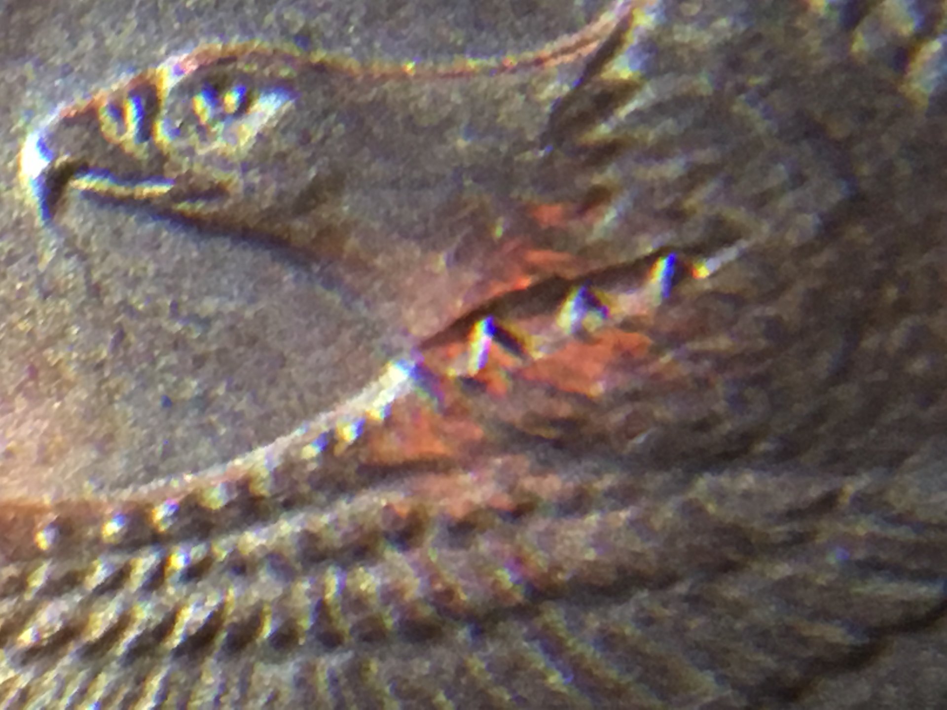 C2509F09-714D-42AF-B676-EAED8D281682.jpeg