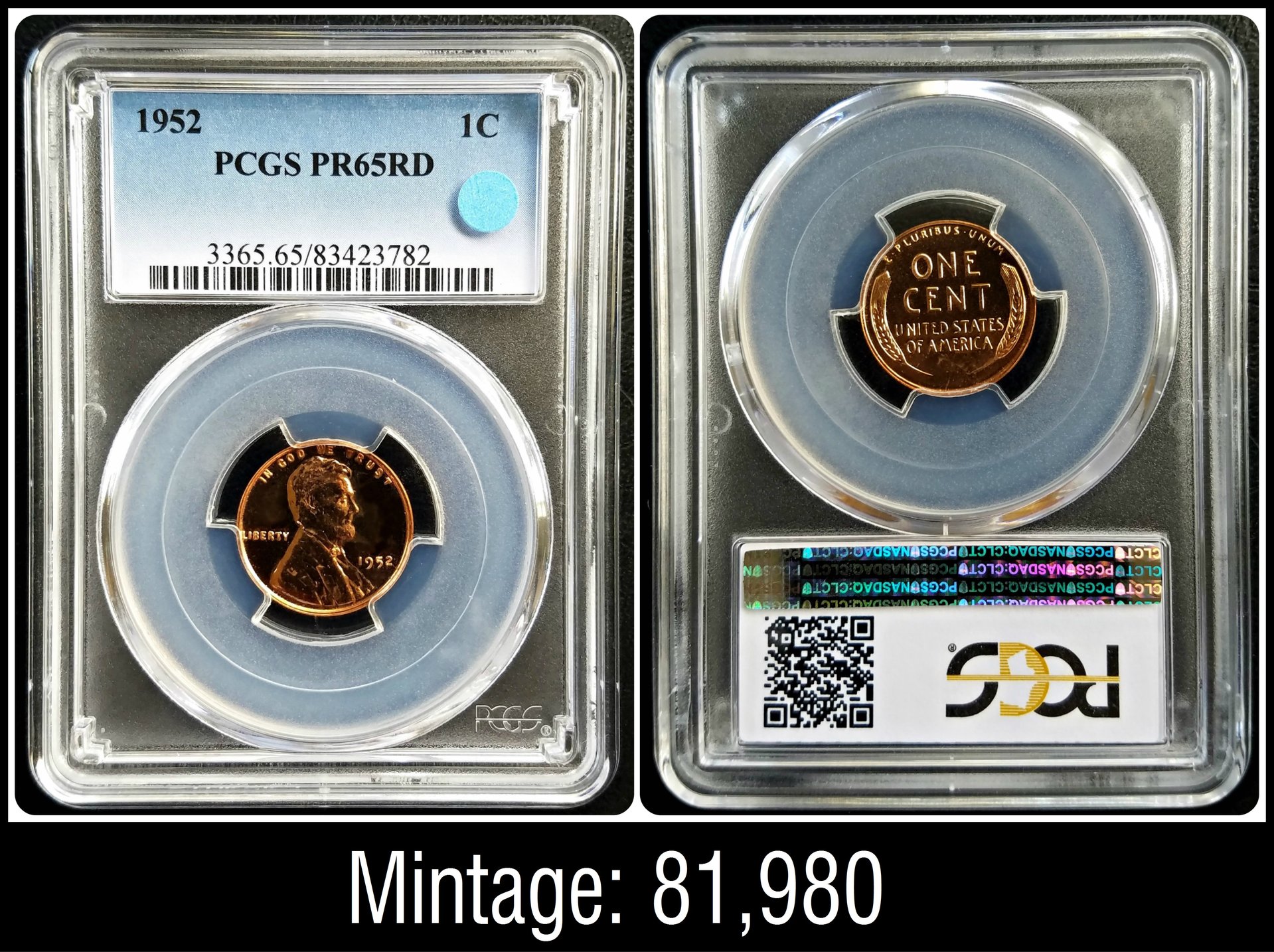 C319[1].jpg