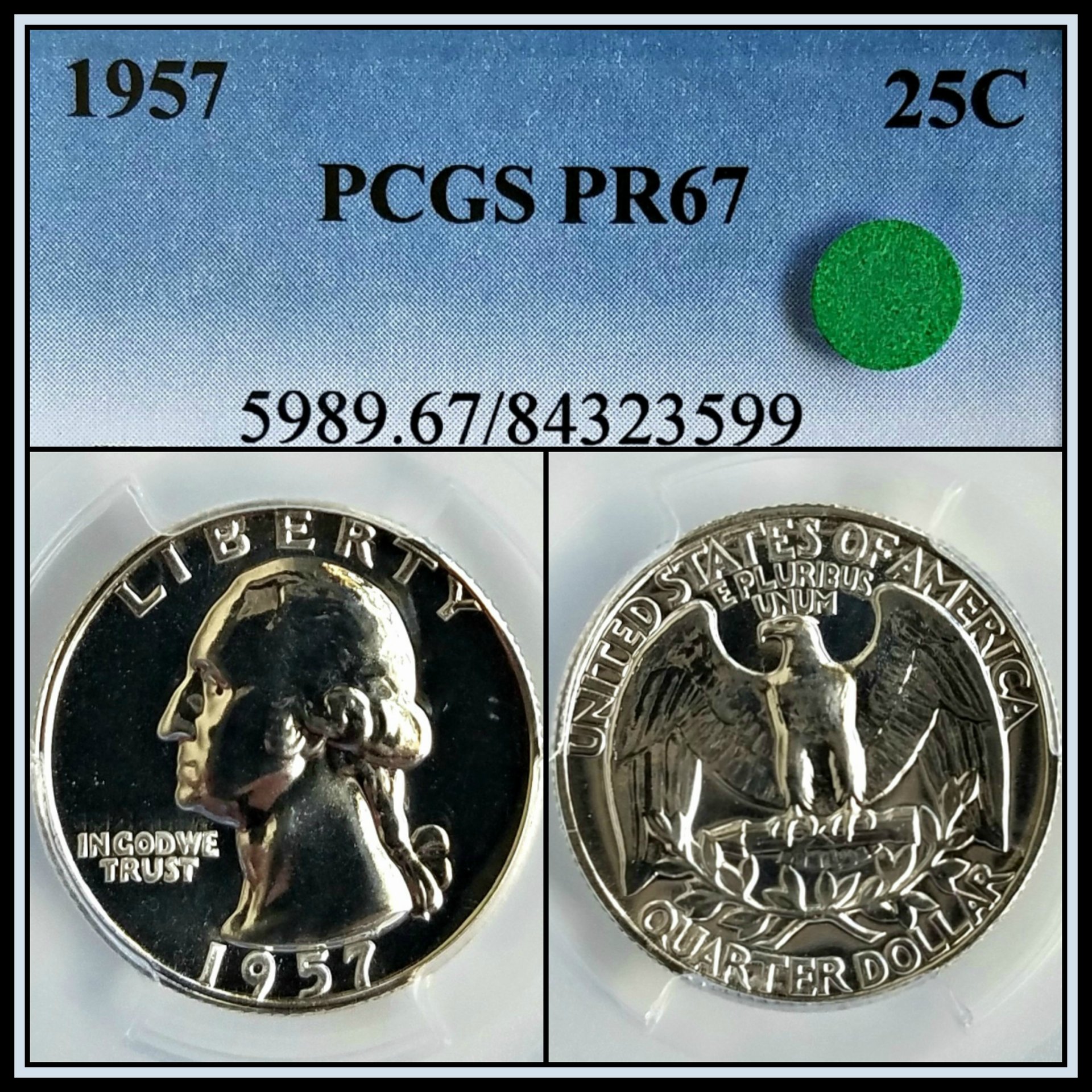 C348.jpg