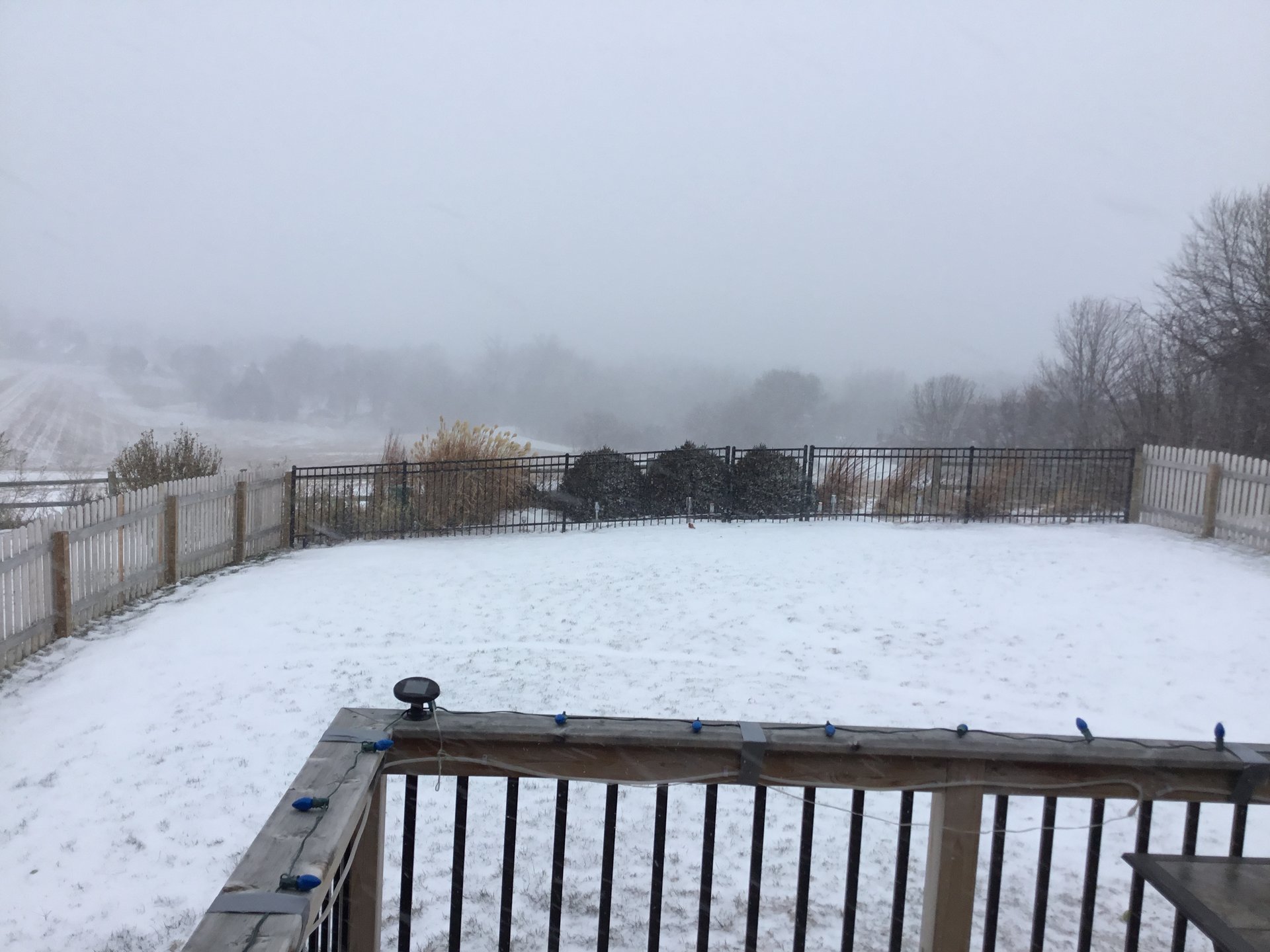 C4679062-0079-4654-8B95-1748CBE1216F.jpeg