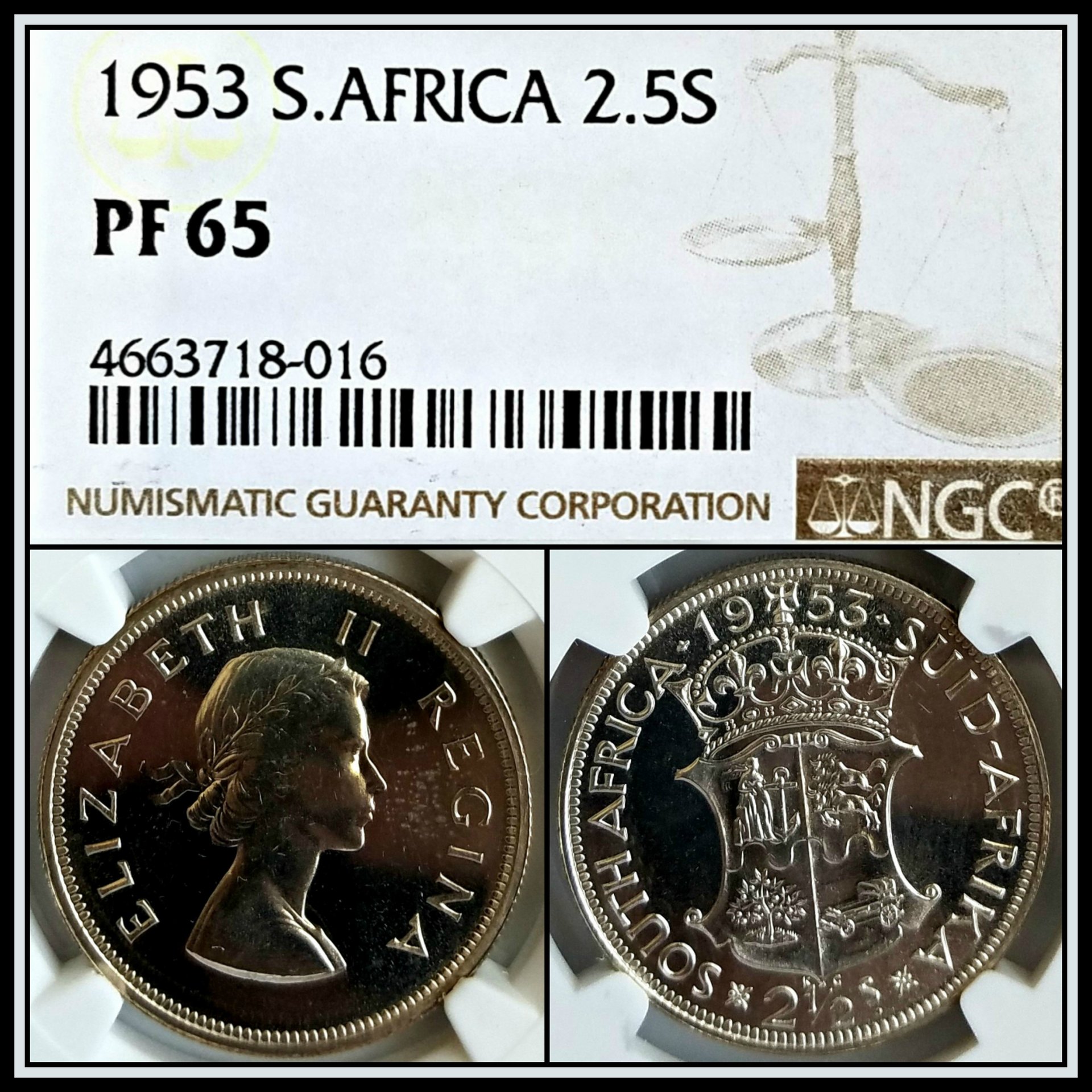 C490.jpg