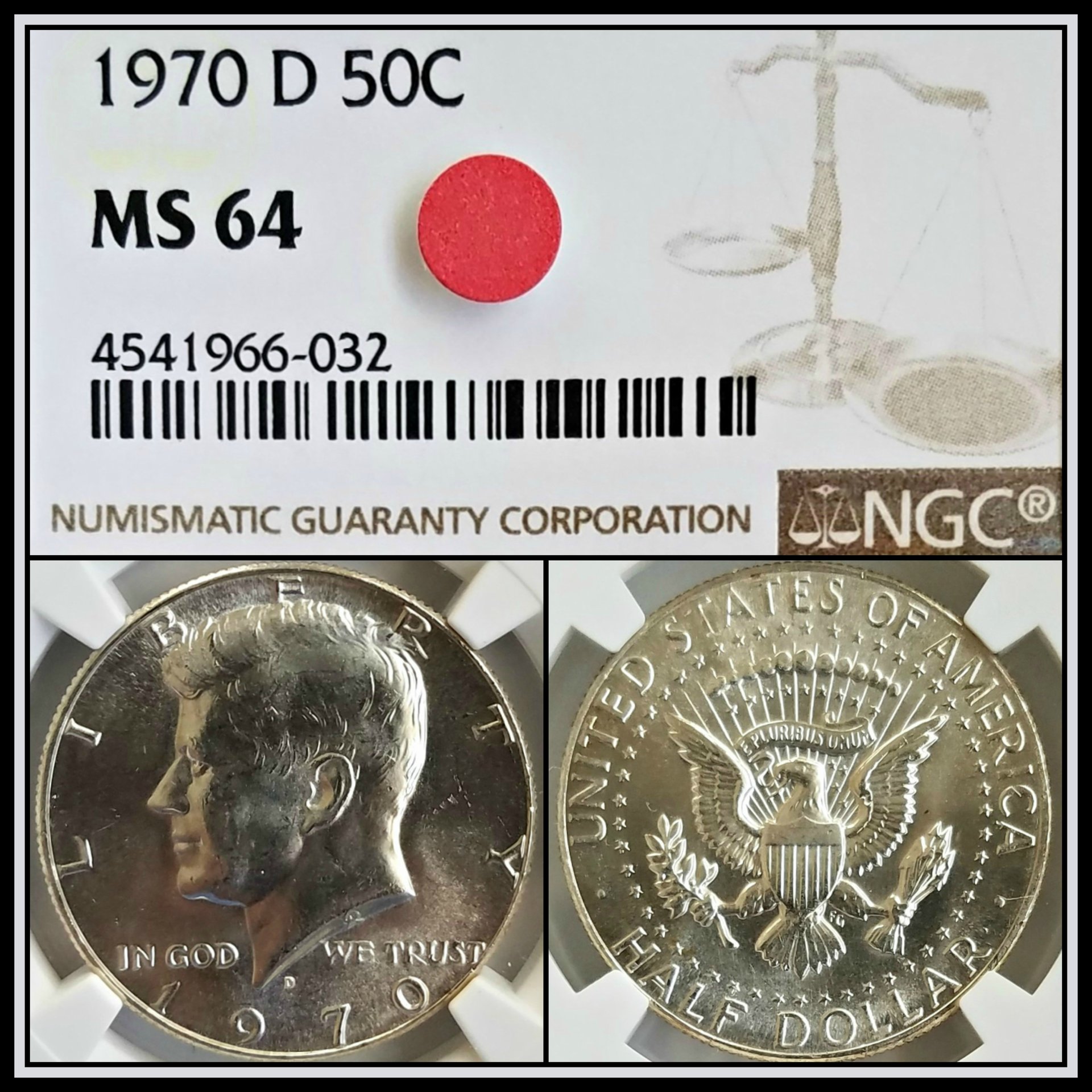 C496.jpg