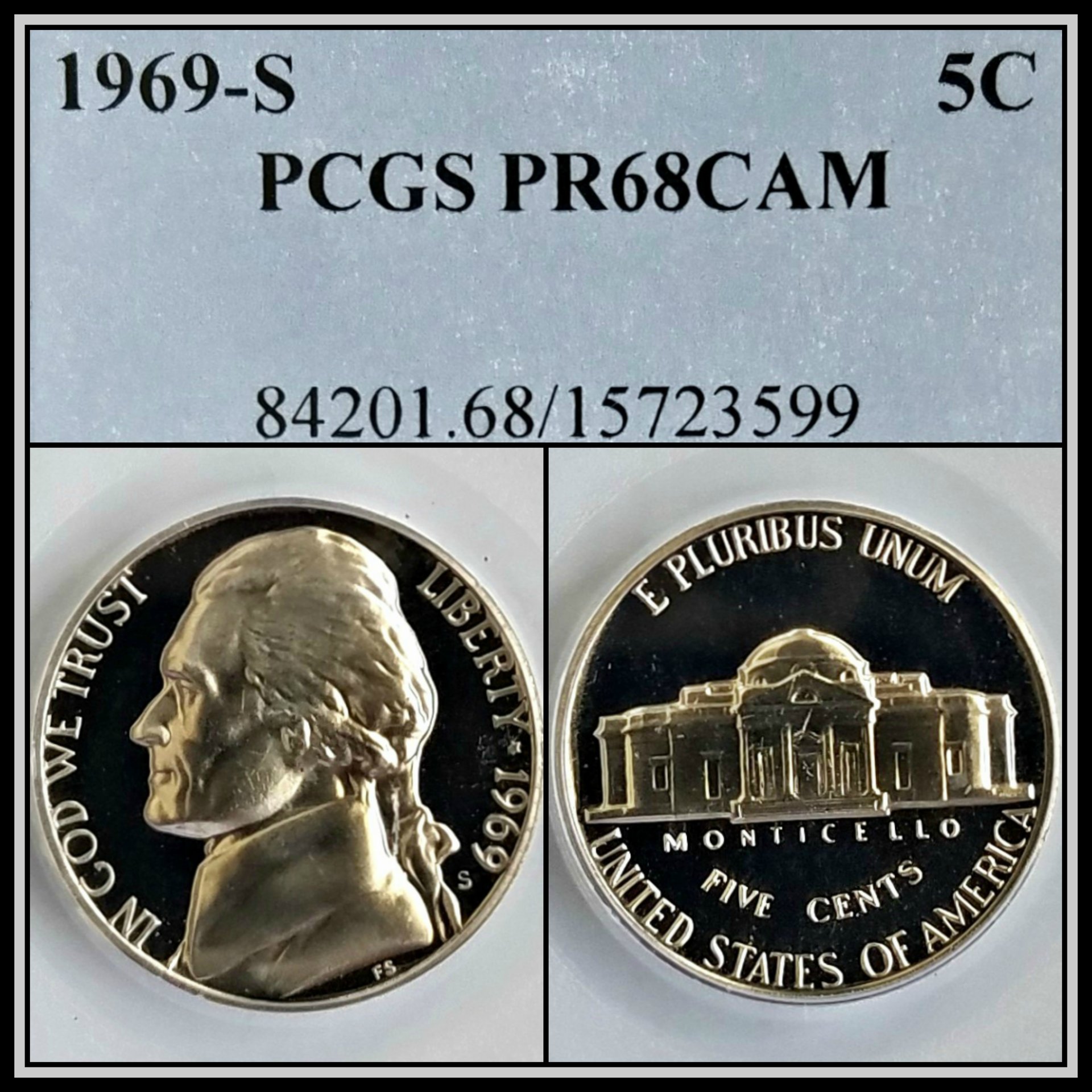 C499.jpg
