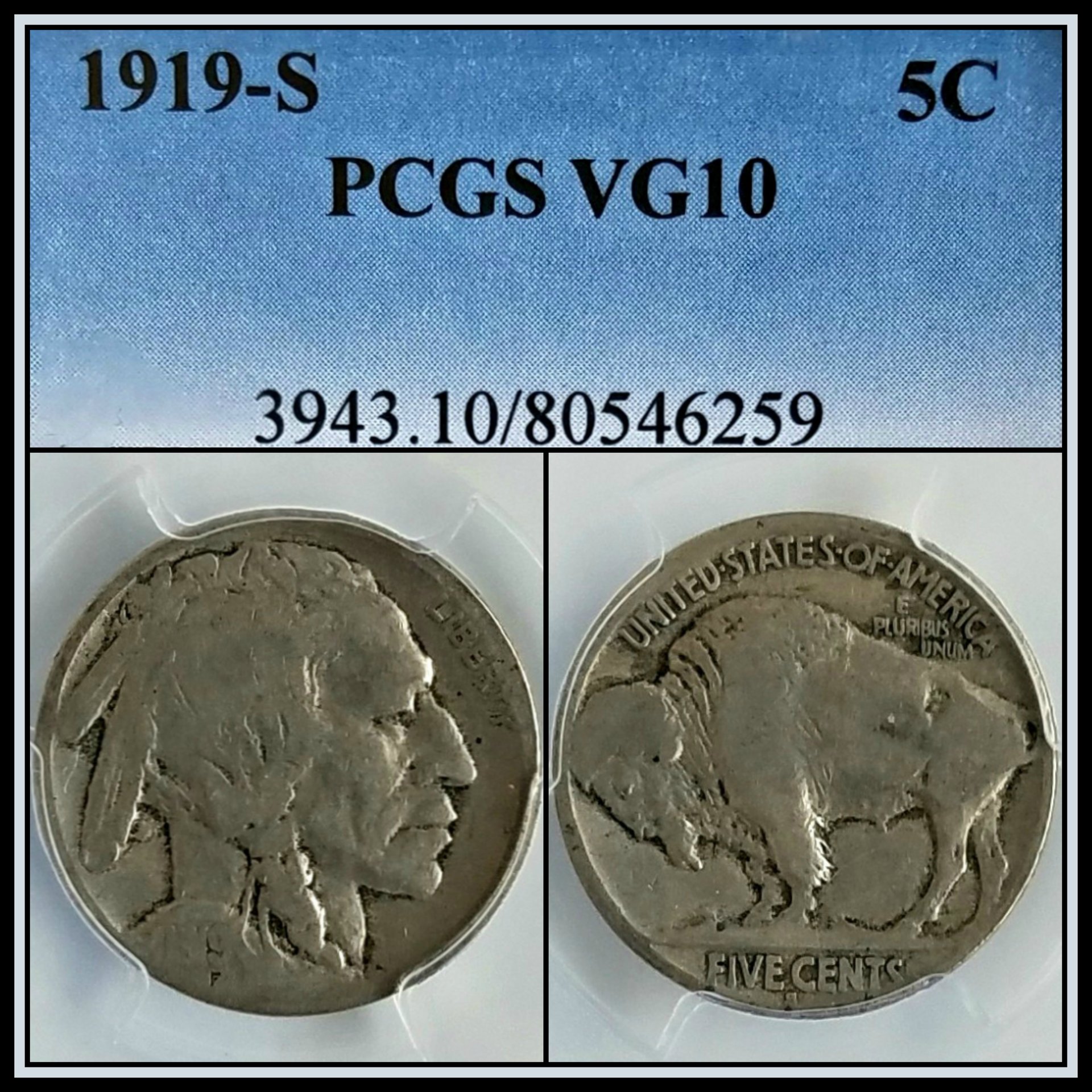 C519.jpg