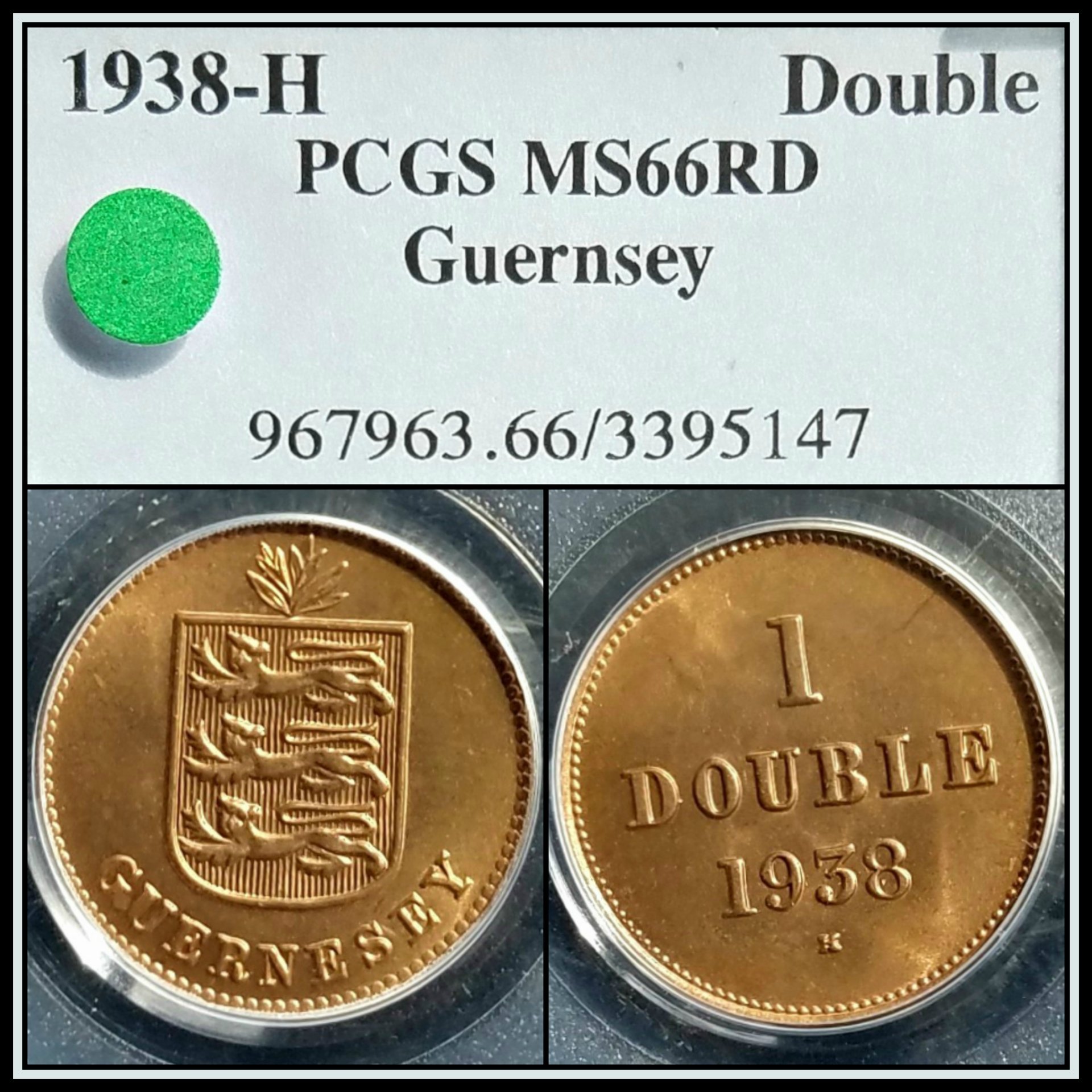 C525.jpg