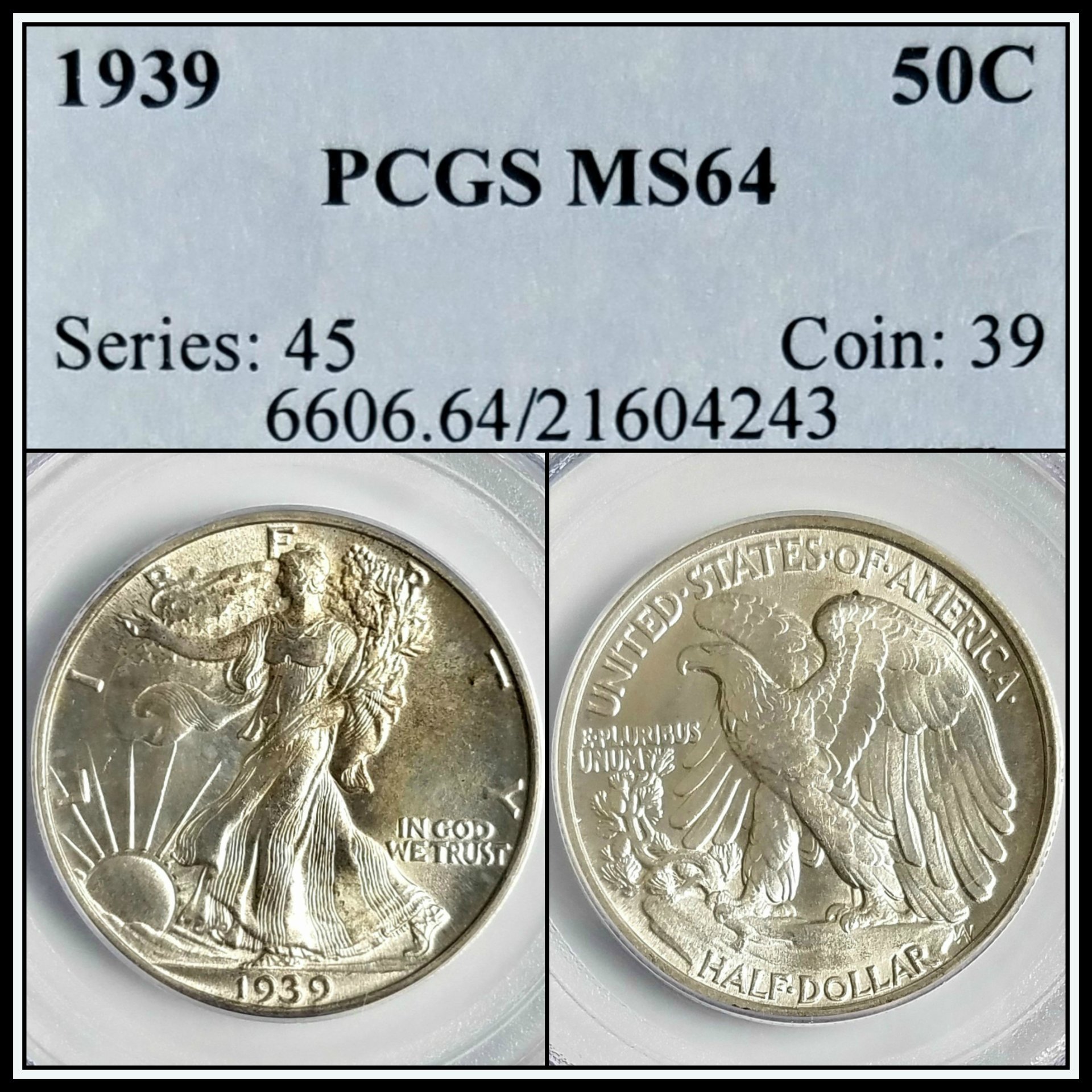C527.jpg