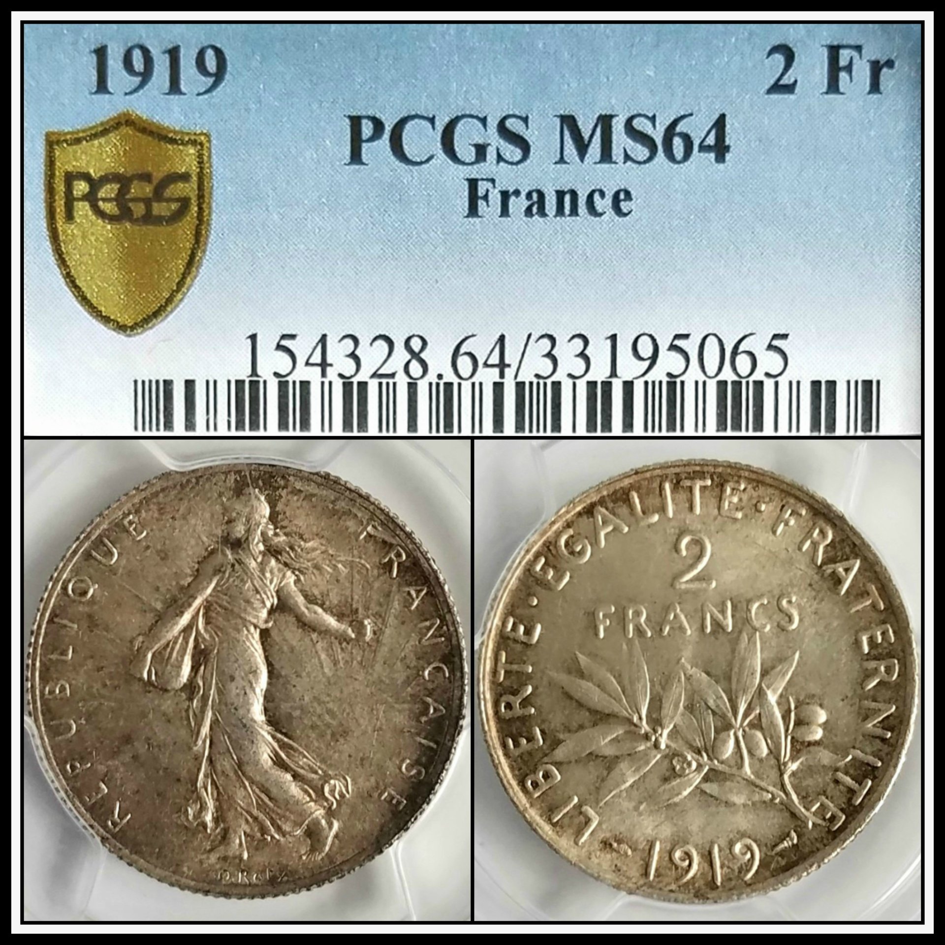C533.jpg