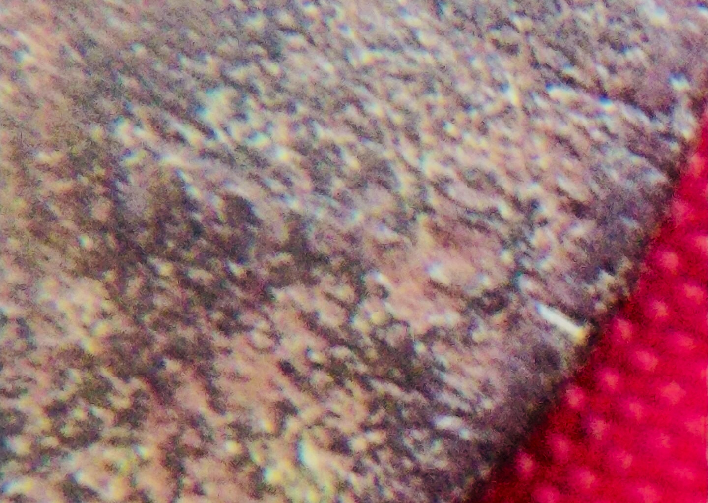 C53F7E7A-8BF3-4EC0-9BAF-1FBEB6E7C2D5.jpeg