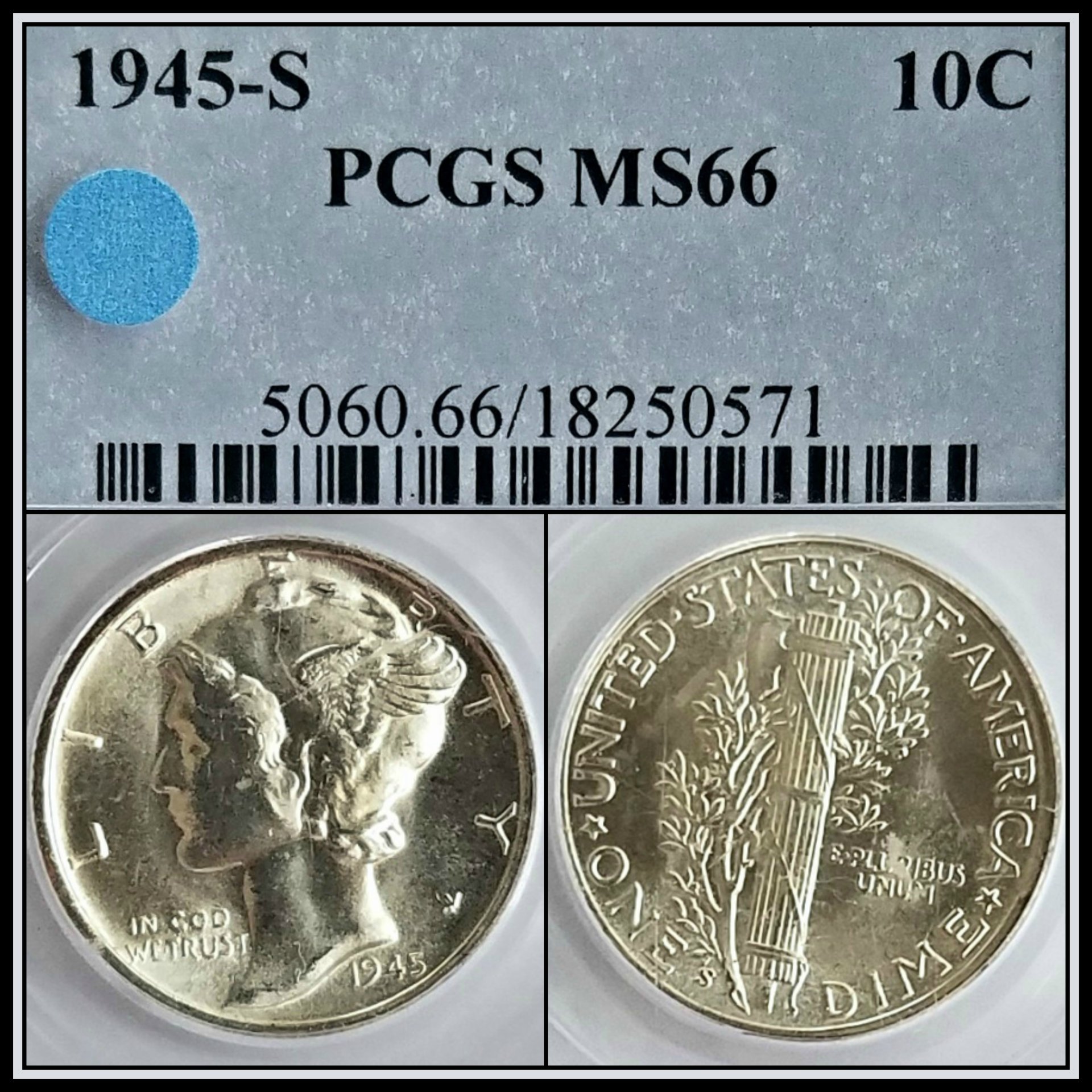 C542.jpg