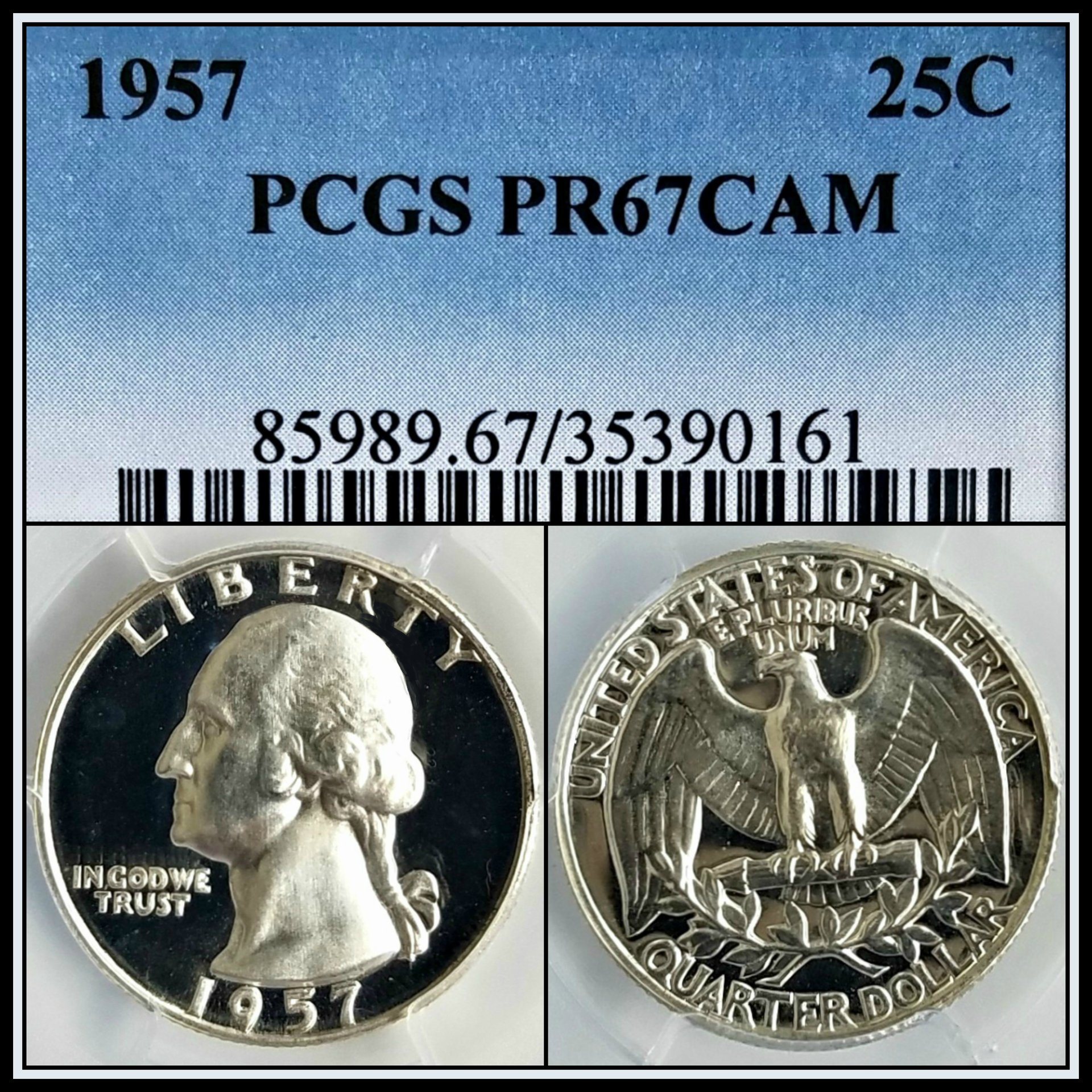 C544.jpg
