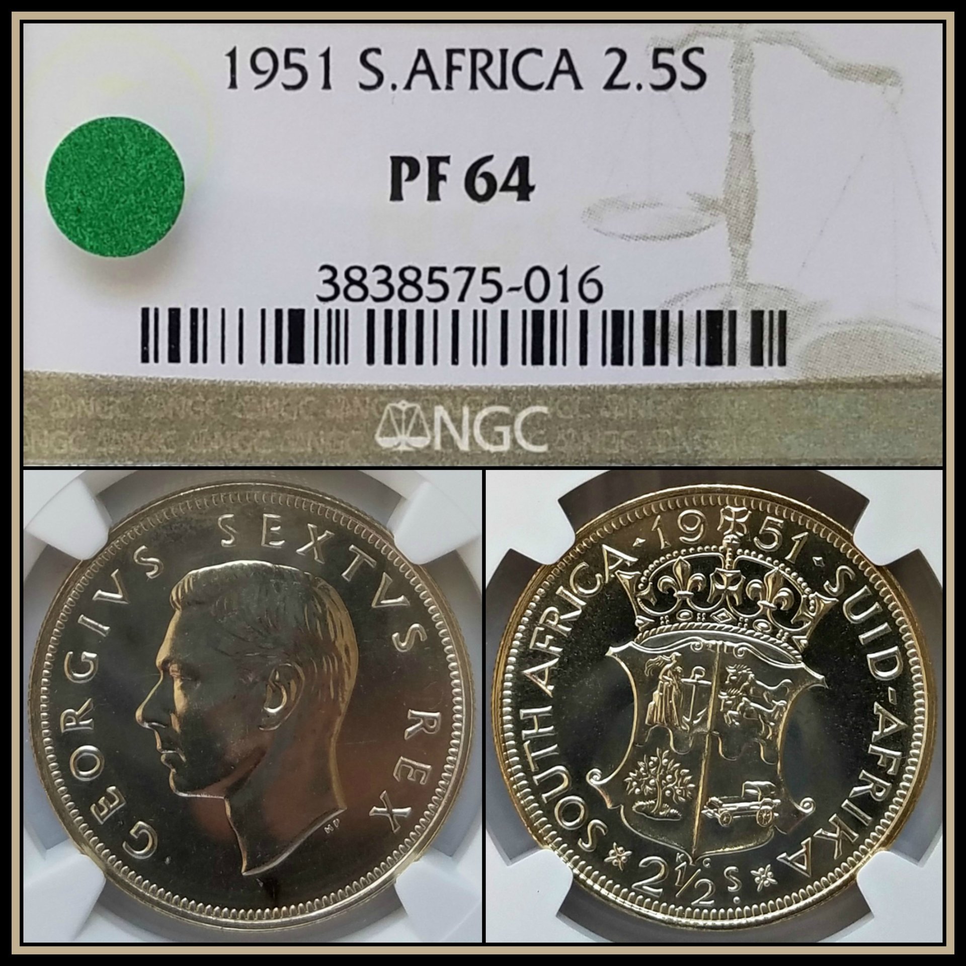 C547.jpg