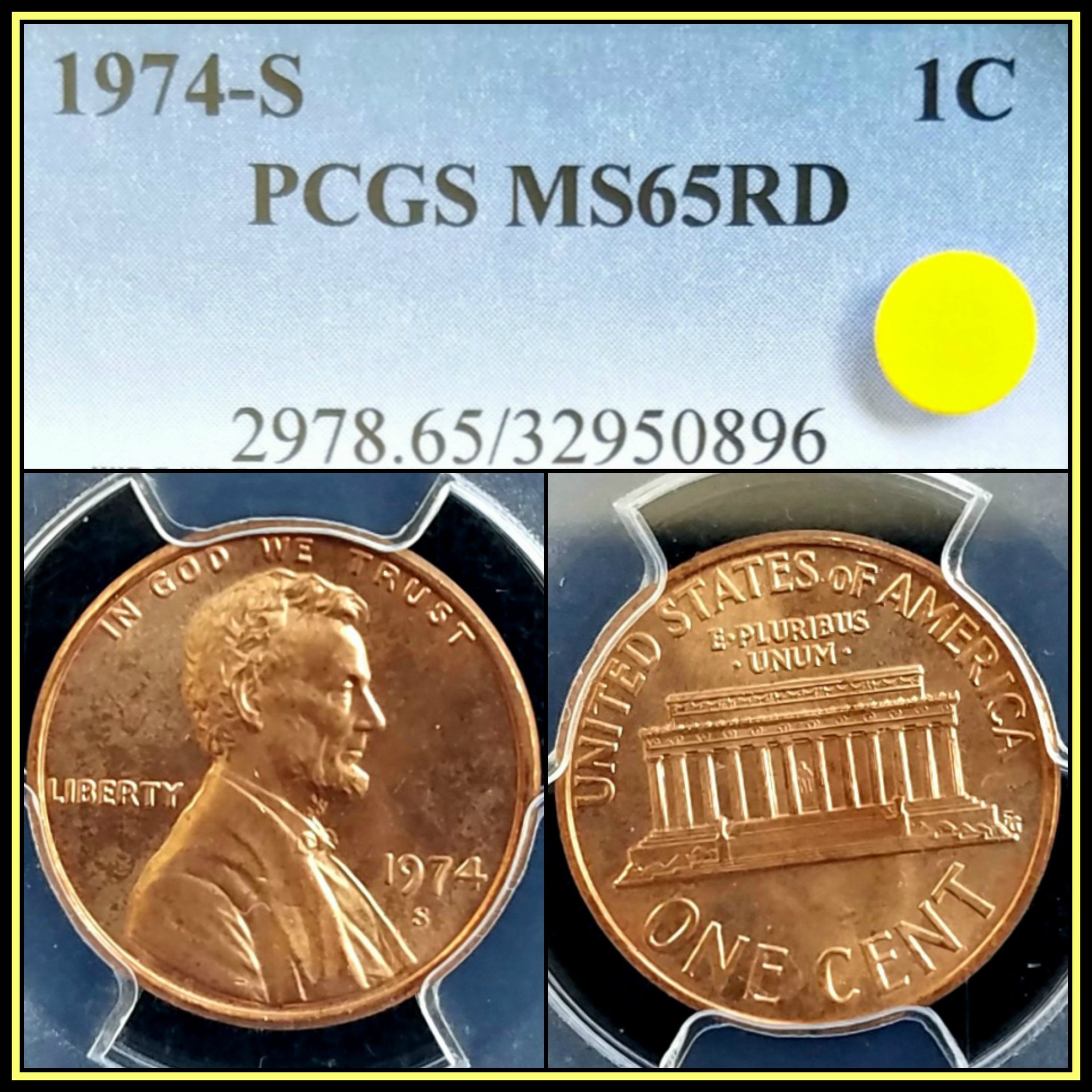 C558.jpg