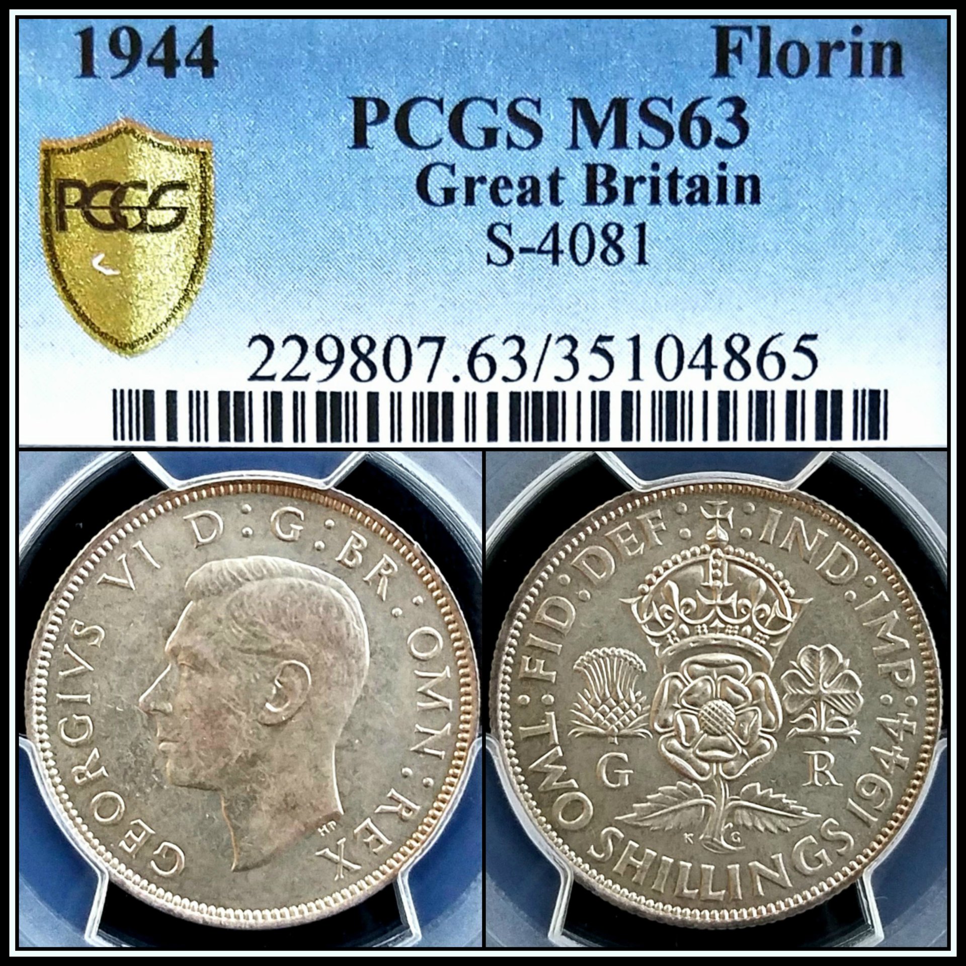 C575.jpg