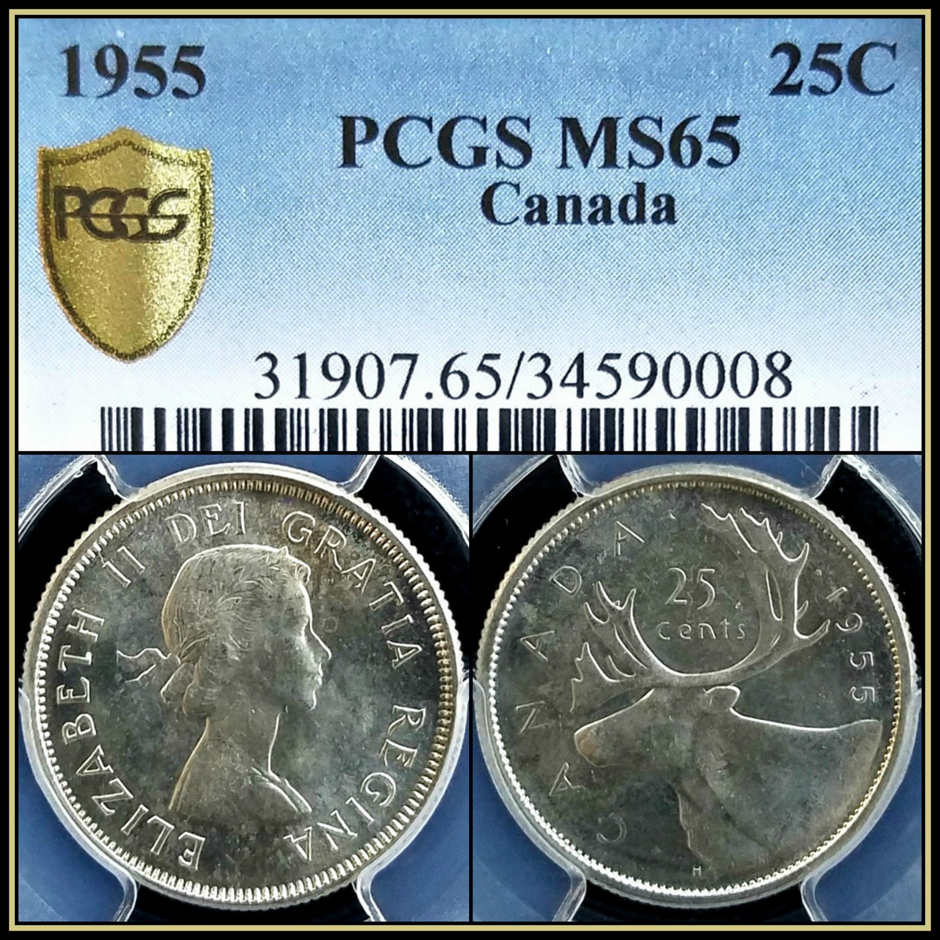 C576.jpg