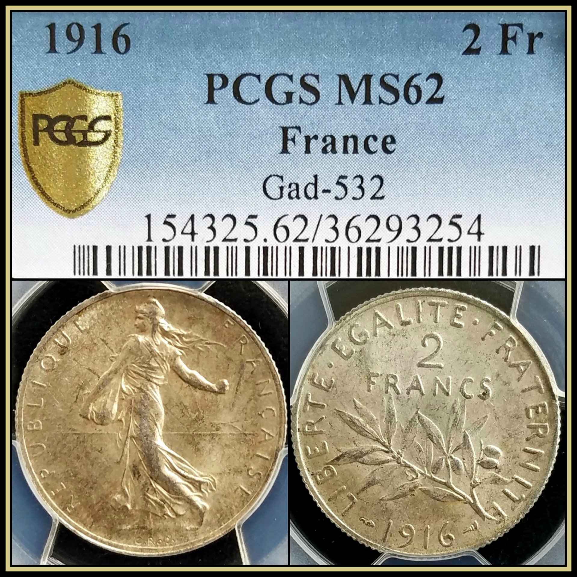 C584.jpg