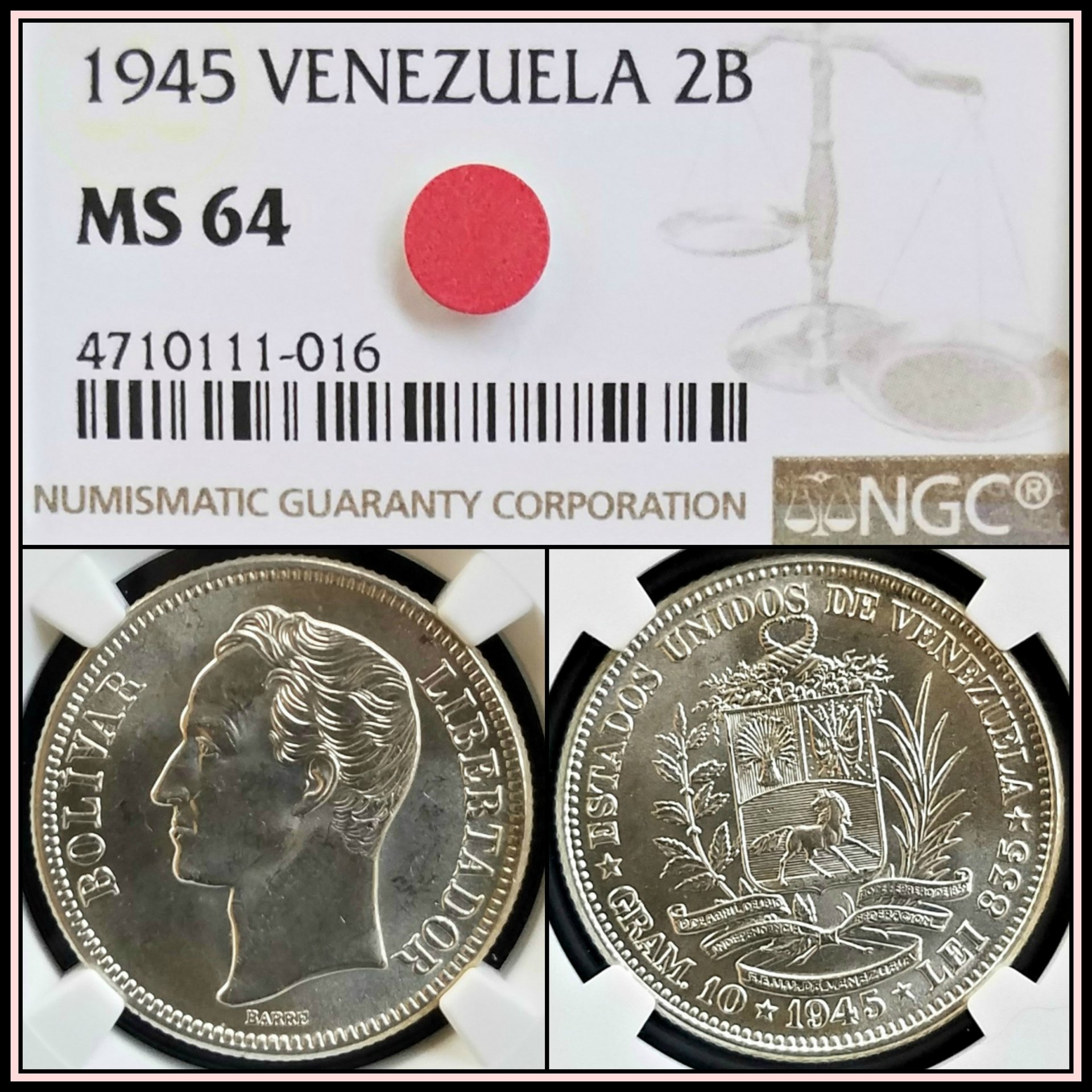 C590.jpg