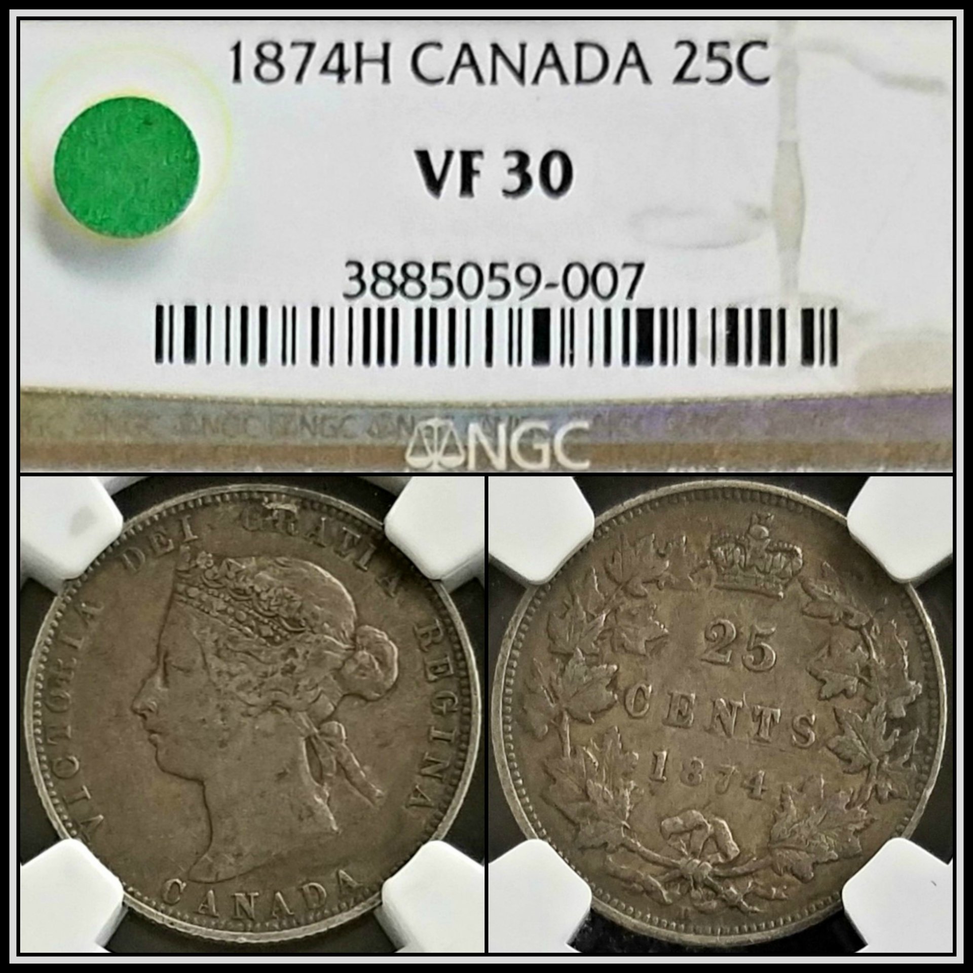 C592.jpg