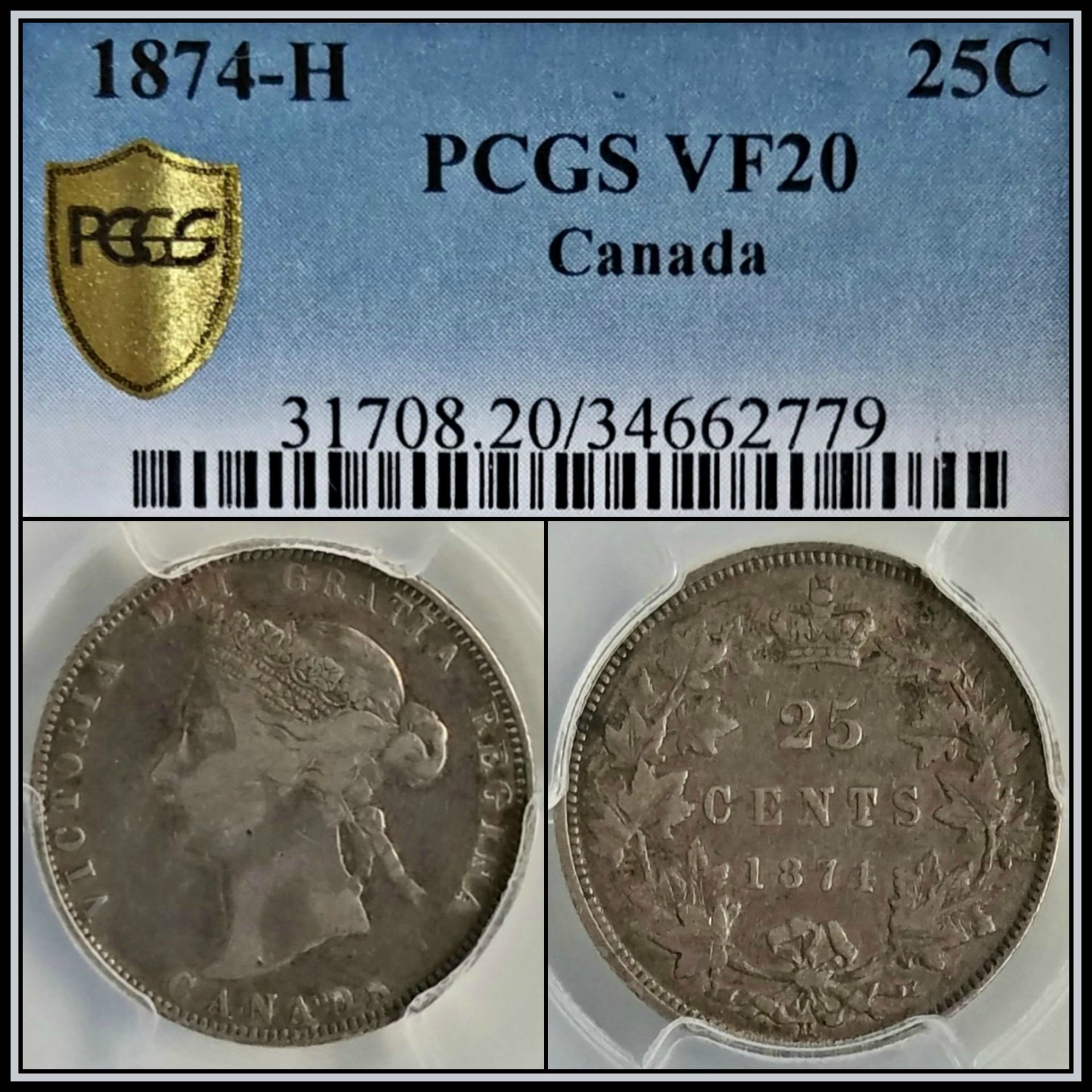 C593.jpg