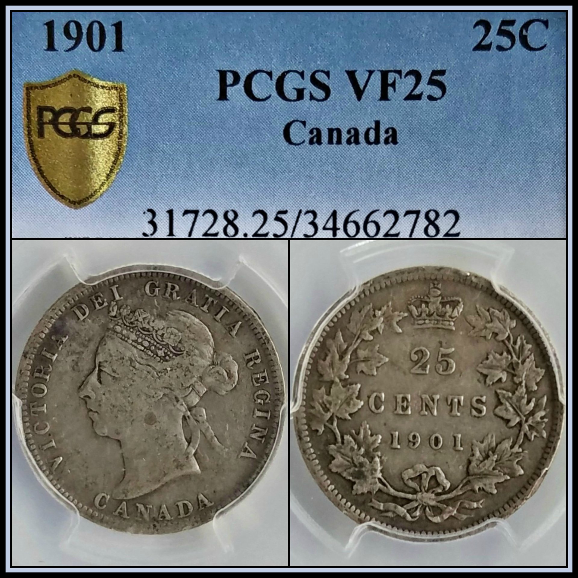 C595.jpg