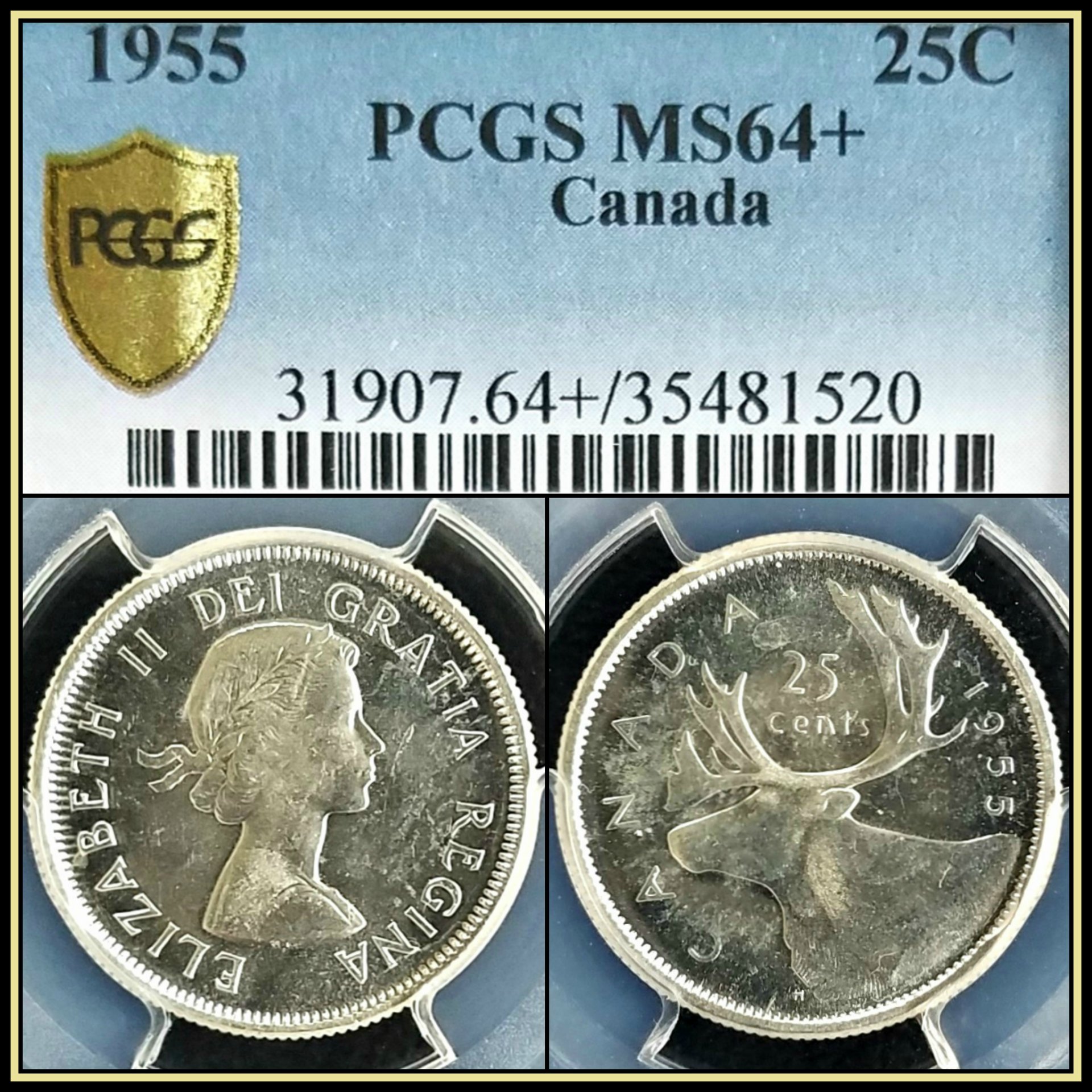 C602.jpg