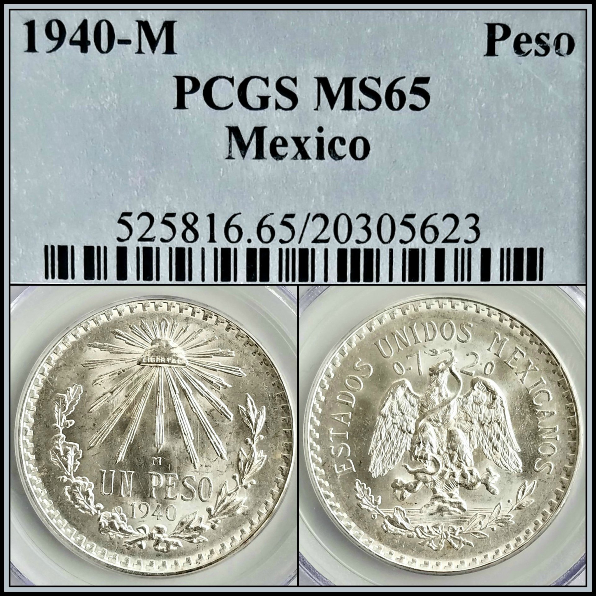 C669.jpg