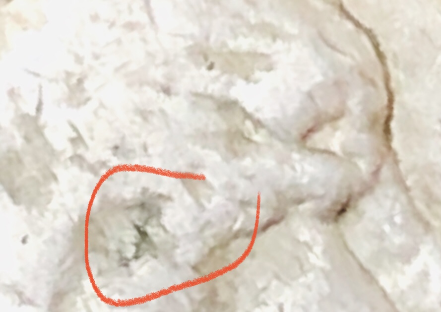 C94427AD-7F09-458C-913A-58070AF5A5E0.jpeg