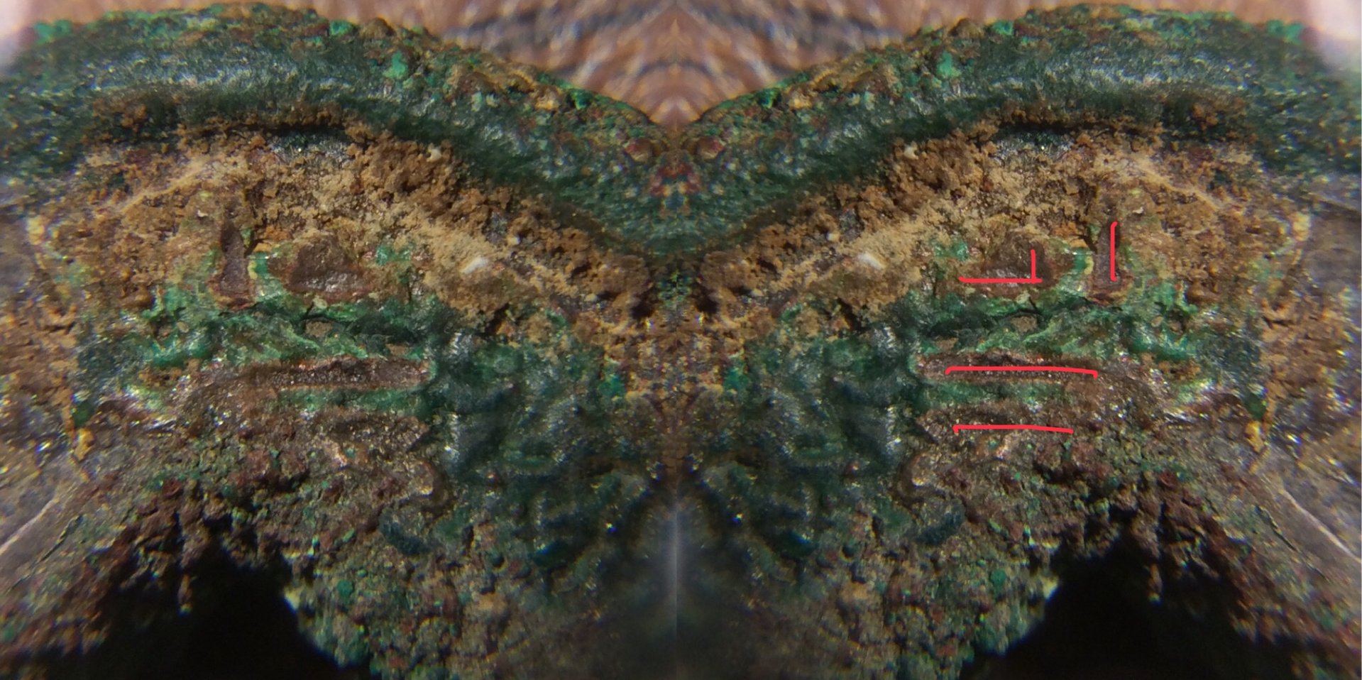 C98FD6DF-C20E-4BB8-BBAB-E133D73444B7.jpeg