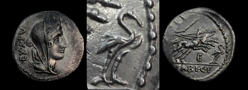 C_Fabius_Hadrianus Blk.png