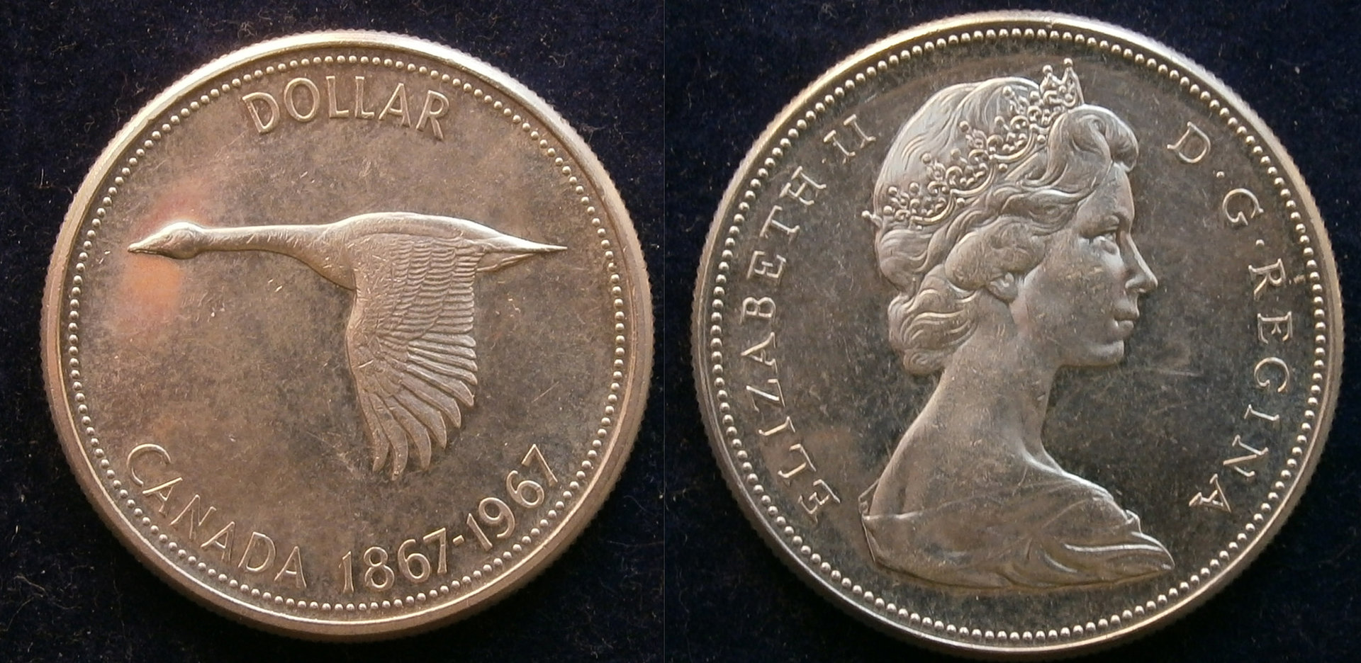 CA1$Goose1967.jpg