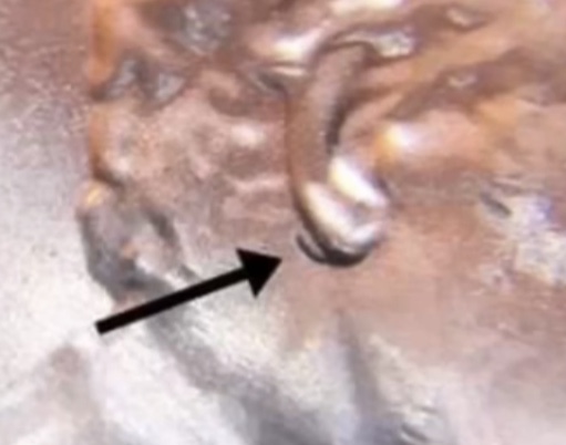 CA2BAD42-7944-4230-9760-D5438B04166A.jpeg